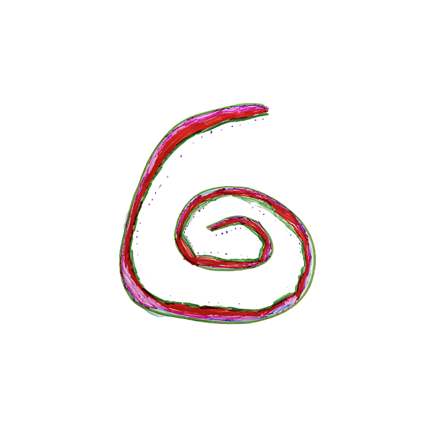 Fruitroll