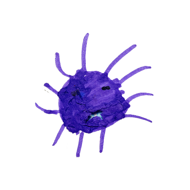 Bacterie