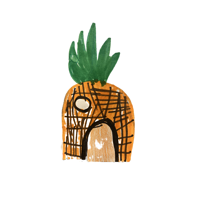 Casa-piña