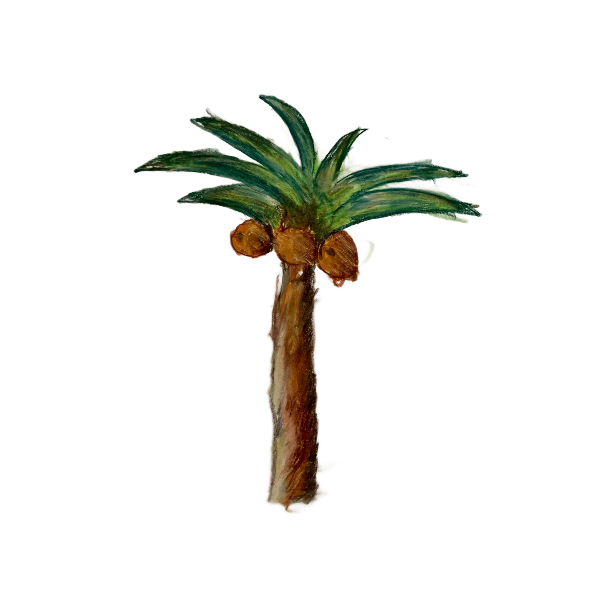 De Palmboom