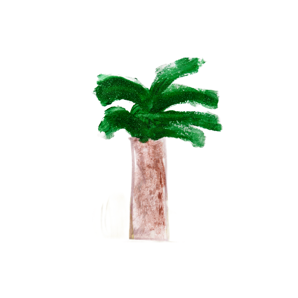 Palmboom