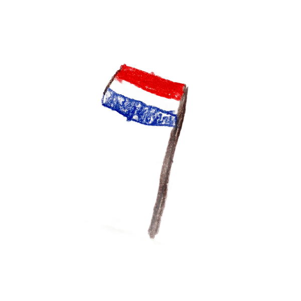 Vlag