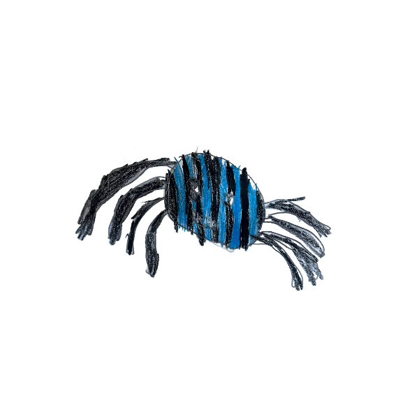 Vogelspin