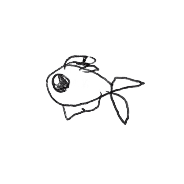 Vis