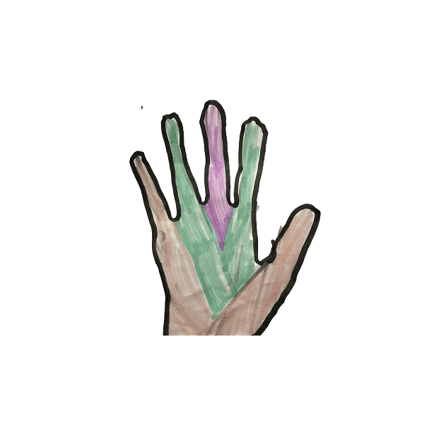Handschoen