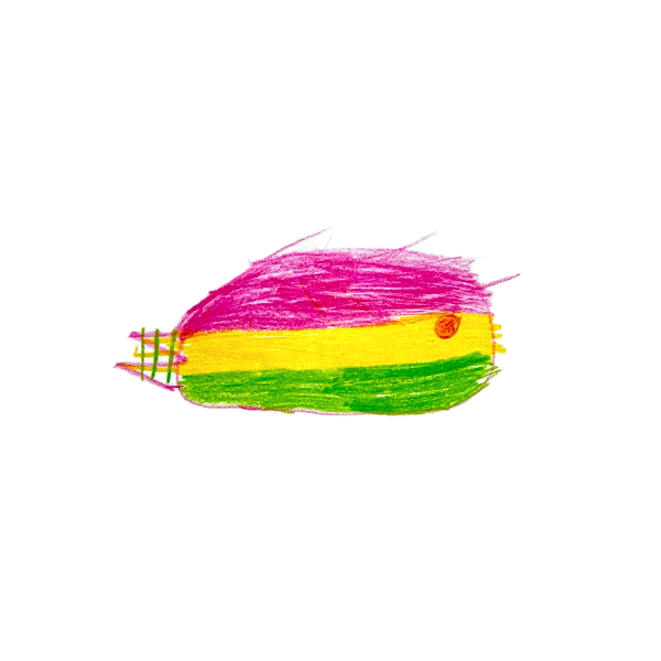 Vis