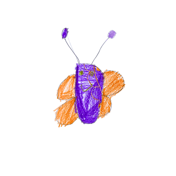 Vlinder