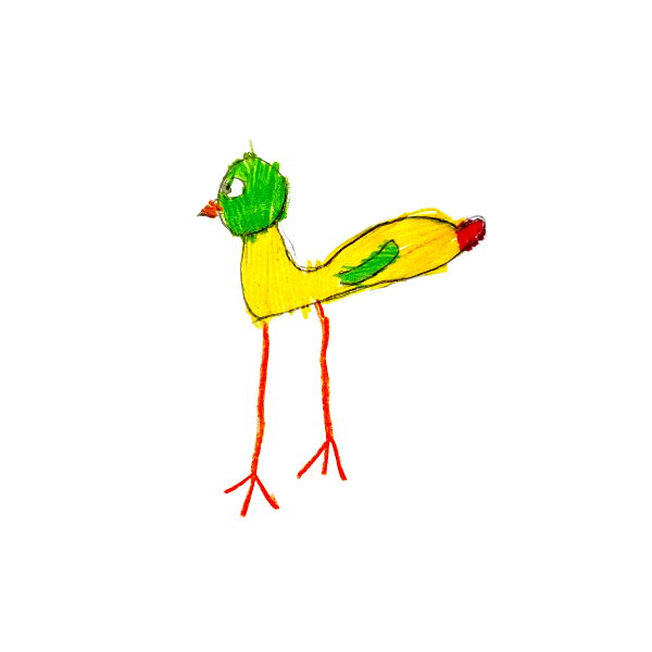 Vogel