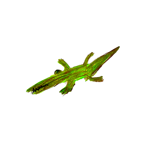 Krokodil
