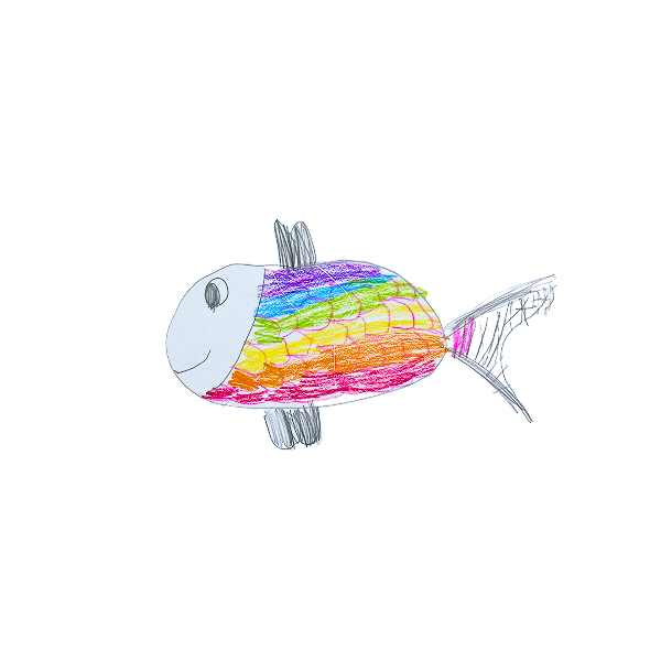 Vis