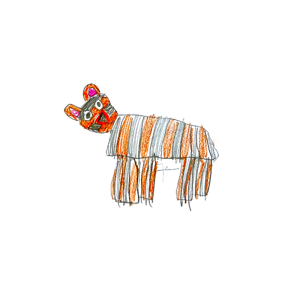 Tijger